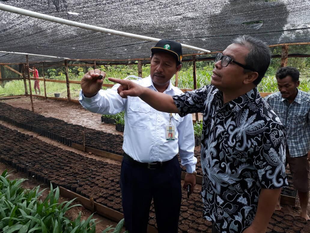  Kebanyakan Utang Akan Memperlemah Negara