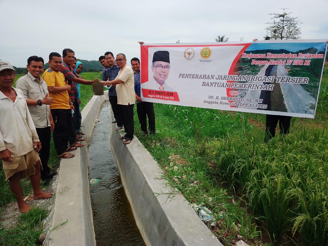  Peringati Hari Tani, Hermanto Ikut Panen dan Serahkan Irigasi ke Petani Pesisir Selatan