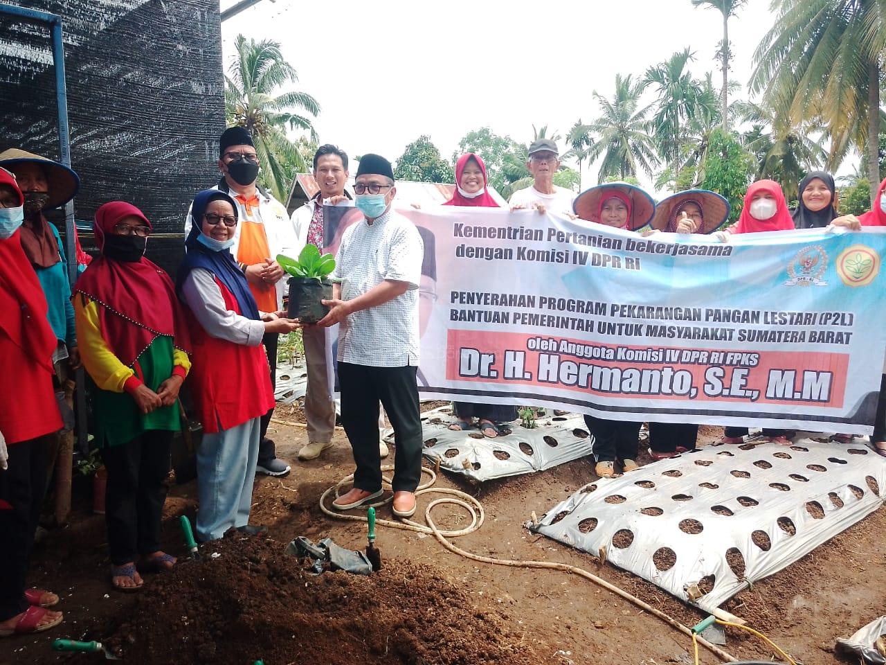  Singgah di Kota Solok, Hermanto Serahkan Bantuan ke Petani Kota