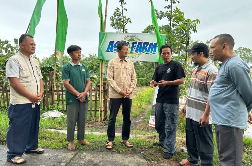  Kunjungi Petani, Amin Ak Dorong Penggunaan Pupuk Cair untuk Peningkatan Produktivitas Pertanian