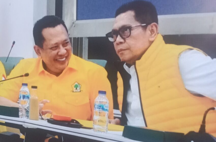  Adies Kadir Sebut Ketum Terpilih Penentu Jokowi Jadi Dewan Pembina Golkar